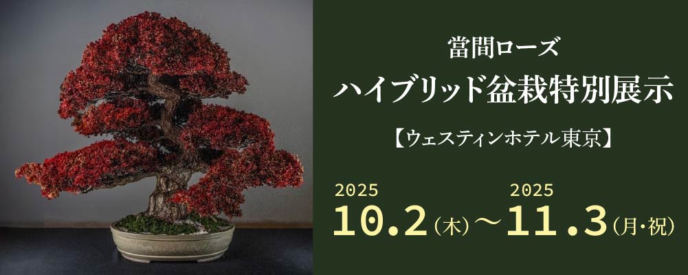 ハイブリッド盆栽特別展示